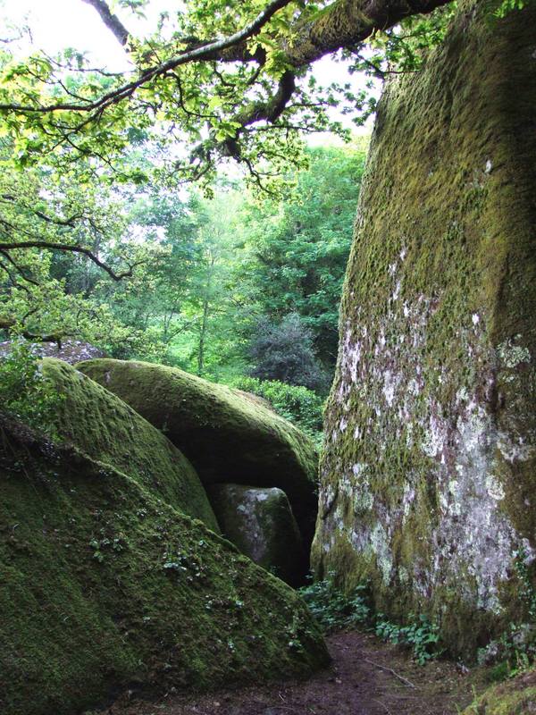 Photo de Forêt d'Huelgoat